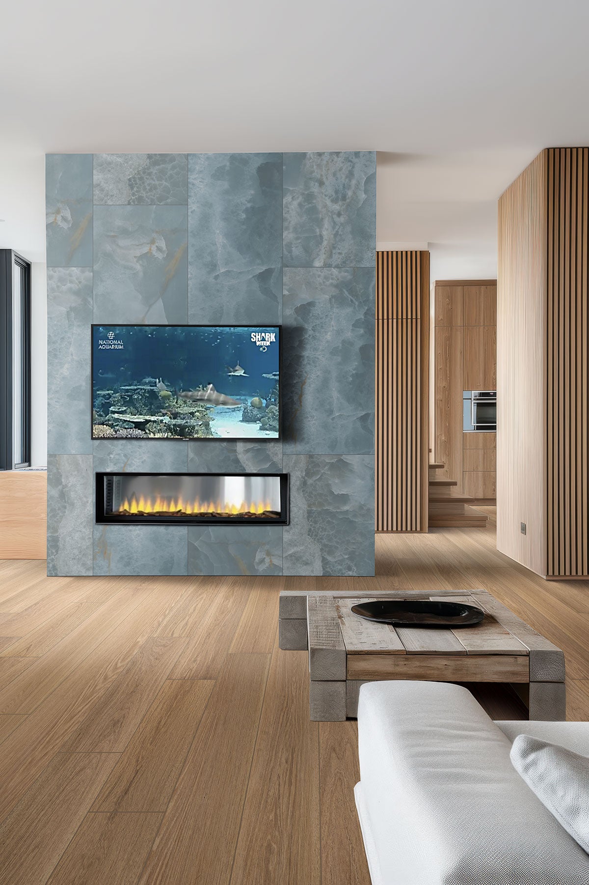 Biotite 24" x 48" Polished Porcelain Floor and Wall Tile