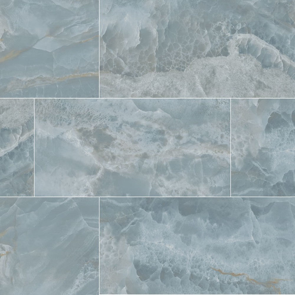 Biotite 24" x 48" Polished Porcelain Floor and Wall Tile