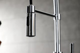 Gourmetier LS8771CTL Continental Single-Handle Pre-Rinse Kitchen Faucet, Polished Chrome