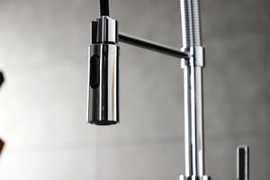 Gourmetier LS8771CTL Continental Single-Handle Pre-Rinse Kitchen Faucet, Polished Chrome