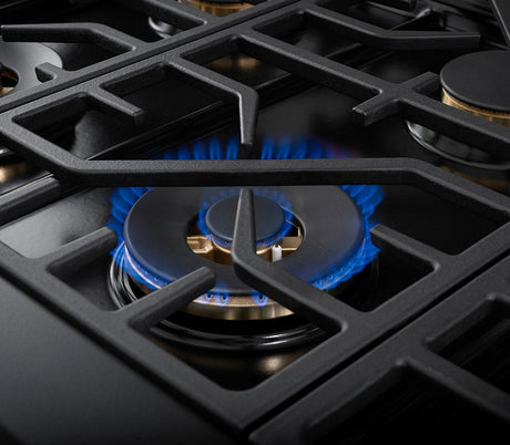 Forza 48-Inch 7.8 cu. ft. Stainless Steel Pro-Style Gas Range in Dinamico Blue (FR488GN-B)