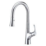 Gerber D454422 Chrome Antioch Single Handle Pull-down Kitchen Faucet
