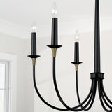 Capital Lighting 445661KB Amara 6 Light Chandelier Matte Black with Brass