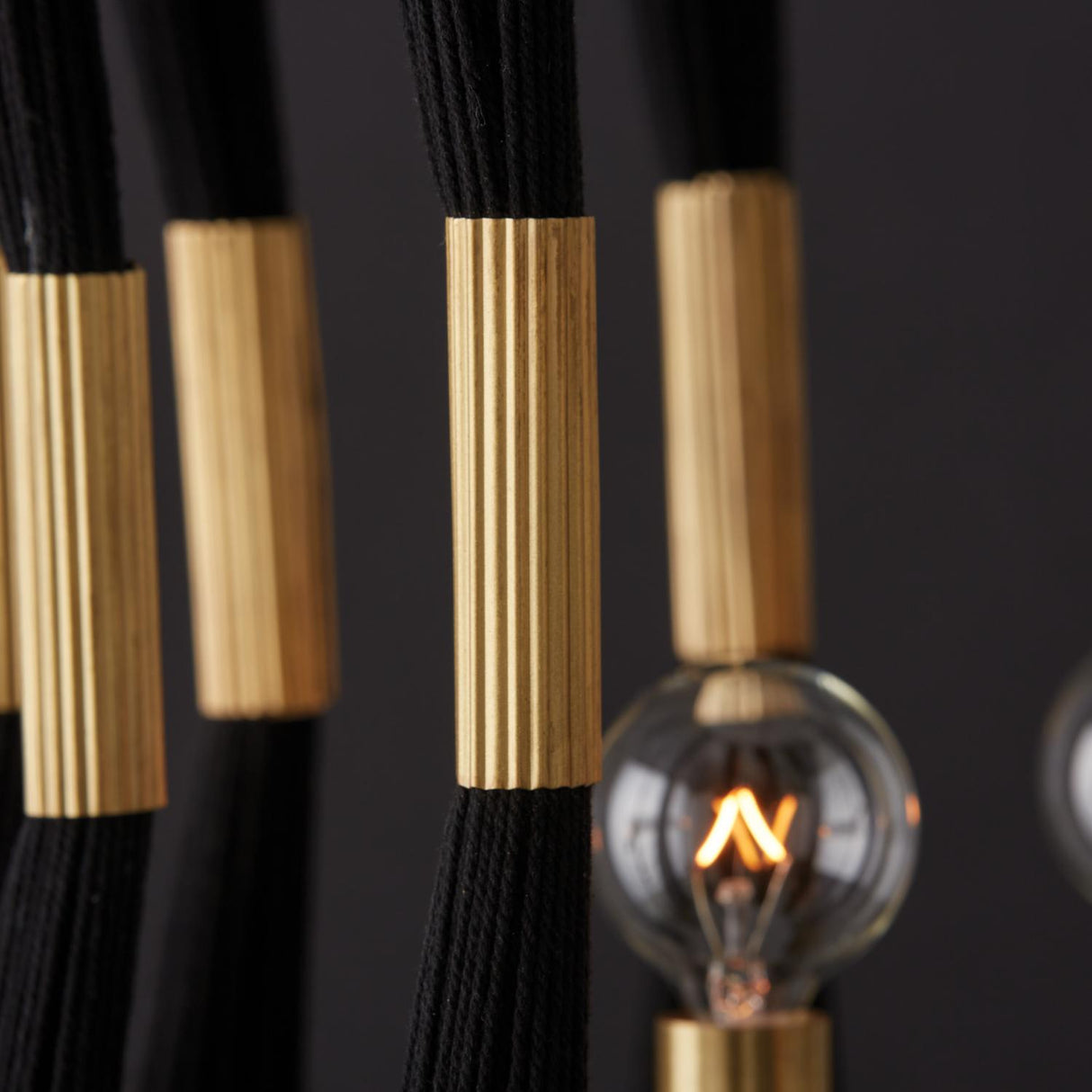 Capital Lighting 541141KP Bianca 4 Light Foyer Black Rope and Patinaed Brass