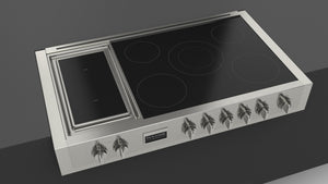 Fulgor Milano Sofia 48-inch Induction Range — F6IRT485GS1