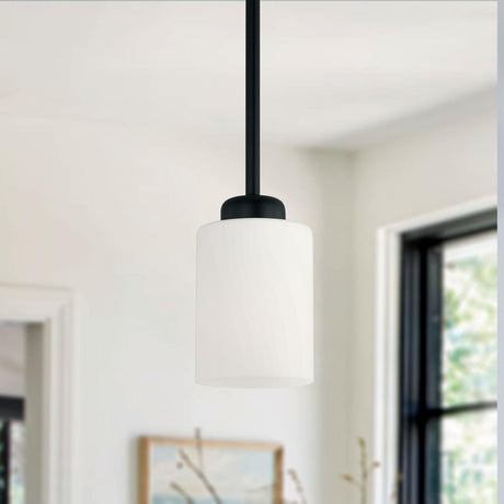 Capital Lighting 315211MB-338 Dixon 1 Light Pendant Matte Black