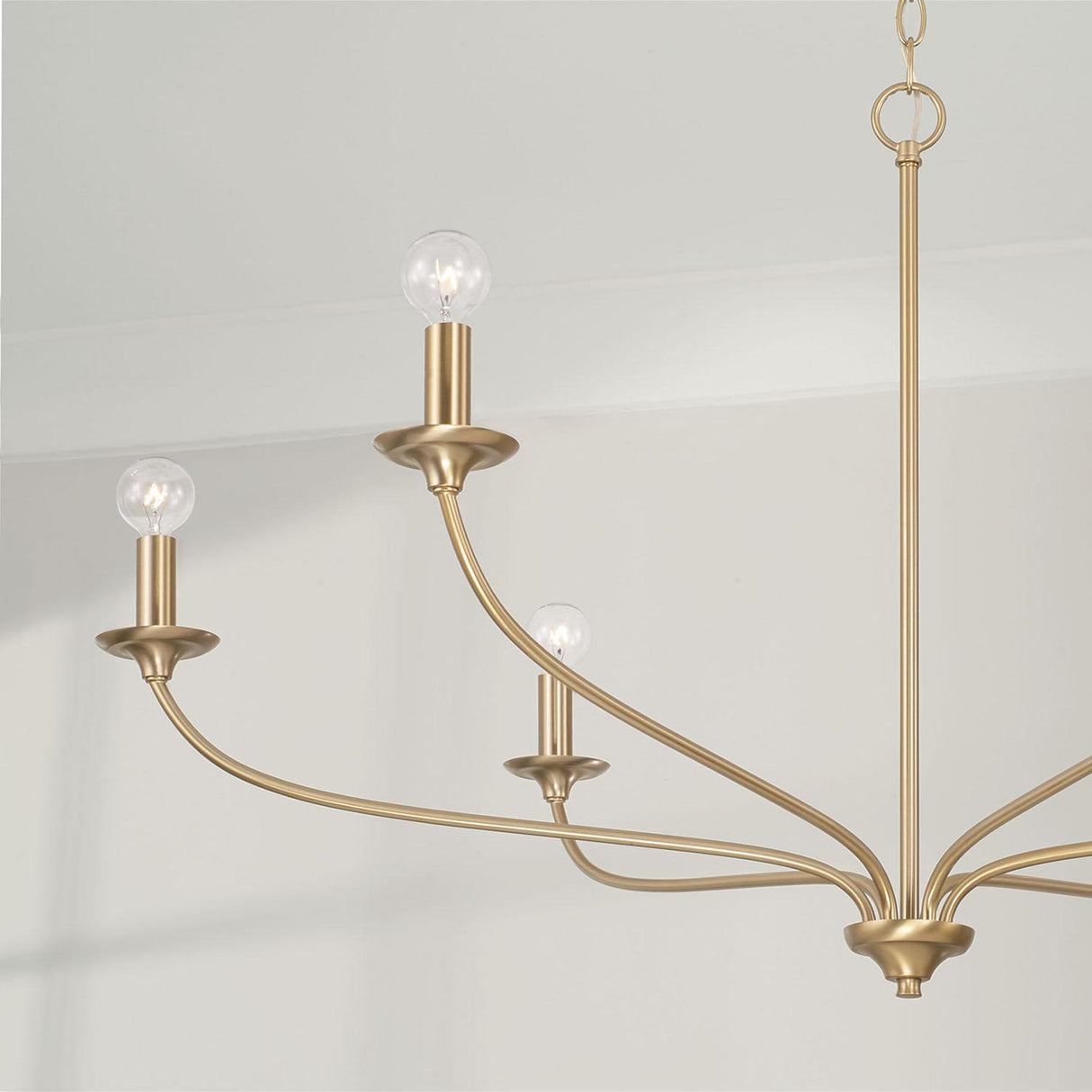 Capital Lighting 449961MA Dolan 6 Light Chandelier Matte Brass