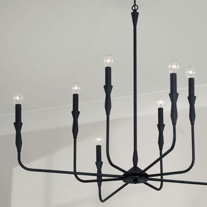 Capital Lighting 450381XK Paloma 8 Light Chandelier Textured Black