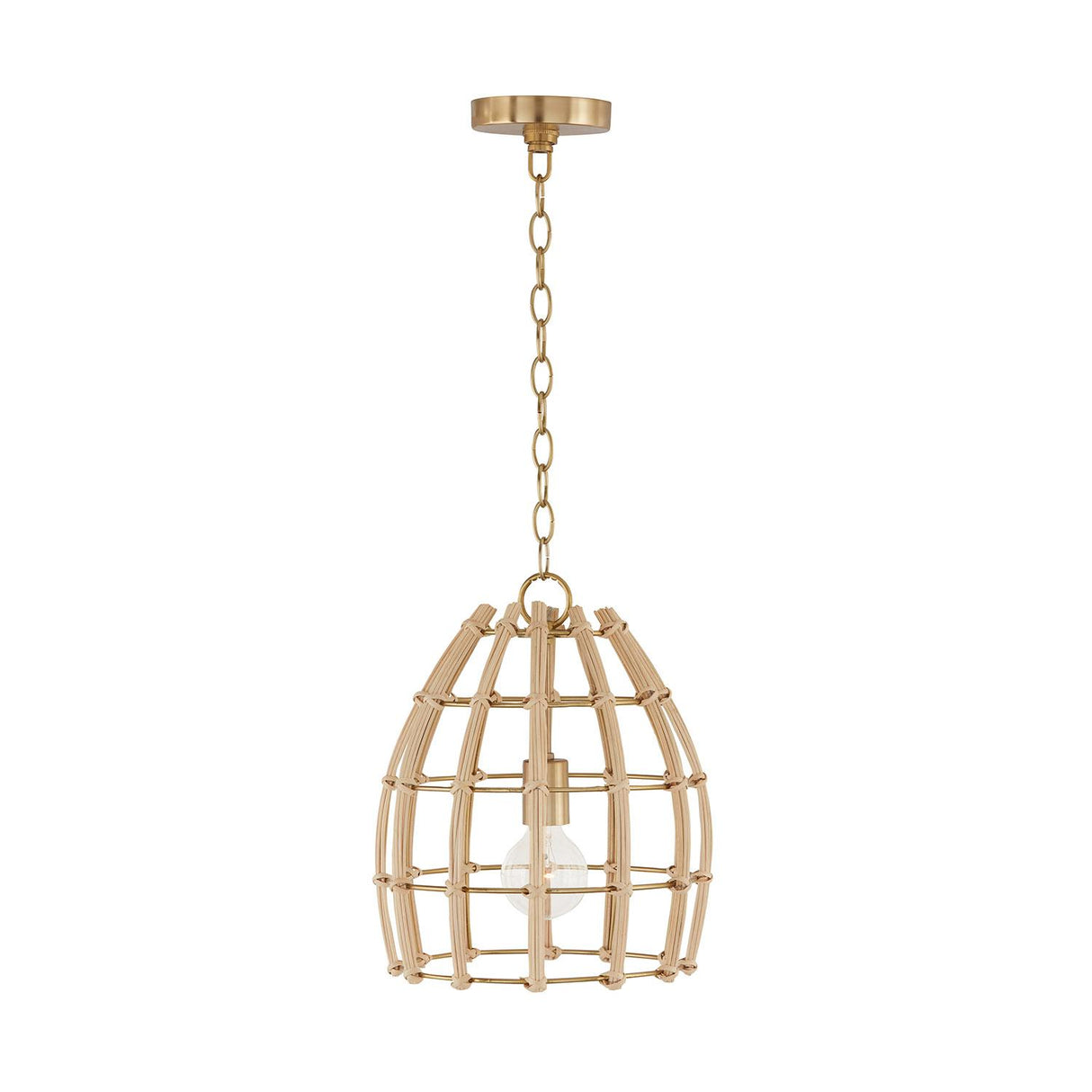 Capital Lighting 344111MA Wren 1 Light Pendant Matte Brass