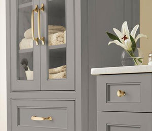 Amerock Cabinet Pull Golden Champagne 3-3/4 inch (96 mm) Center to Center Highland Ridge 1 Pack Drawer Pull Drawer Handle Cabinet Hardware