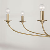 Capital Lighting 449981MA Dolan 8 Light Chandelier Matte Brass