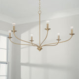 Capital Lighting 449961MA Dolan 6 Light Chandelier Matte Brass