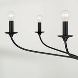 Capital Lighting 449961MB Dolan 6 Light Chandelier Matte Black