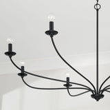 Capital Lighting 449981MB Dolan 8 Light Chandelier Matte Black