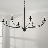 Capital Lighting 449981MB Dolan 8 Light Chandelier Matte Black