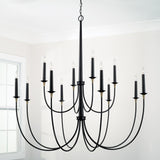 Capital Lighting 445601KB Amara 12 Light Chandelier Matte Black with Brass