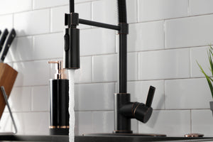 Gourmetier LS8776CTL Continental Single-Handle Pre-Rinse Kitchen Faucet, Naples Bronze