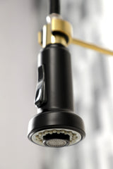 Gourmetier GS8187DL Concord 2-Handle Wall Mount Pull-Down Kitchen Faucet, Brushed Brass