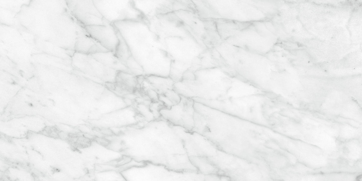 Anatolia Tile 12X24 Plata Carrara P Polished 4500-0975-0 Carrara Abisso 12x24 Polished - premium natural stone mosaic tile from Anatolia Tile, available at PoshHaus showroom in Keene, NH