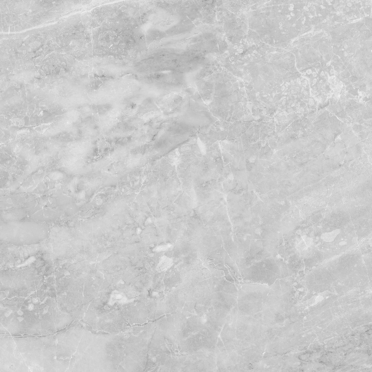 Anatolia Tile 24X24 Plata Perla P Polished 4500-0963-0 Perla Grigia 24x24 Polished - premium natural stone mosaic tile from Anatolia Tile, available at PoshHaus showroom in Keene, NH