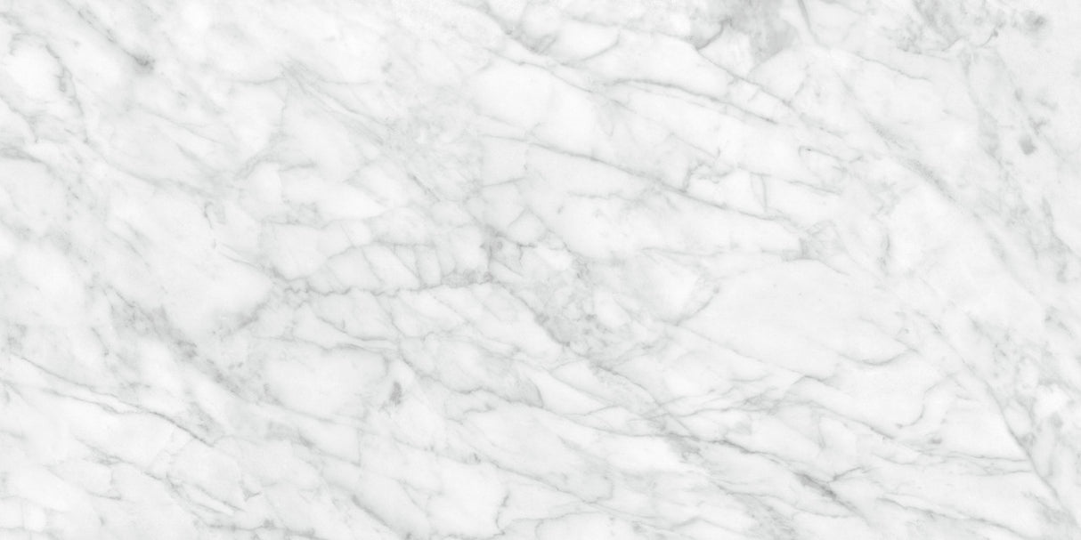 Anatolia Tile 24X48 Plata Carrara P Polished 4500-0959-0 Carrara Abisso 24x48 Polished - premium natural stone mosaic tile from Anatolia Tile, available at PoshHaus showroom in Keene, NH