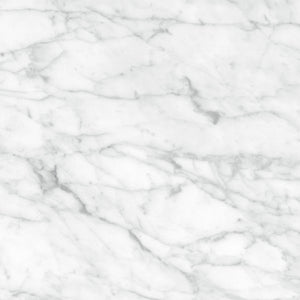 Anatolia Tile 24X24 Plata Carrara P Polished 4500-0967-0 Carrara Abisso 24x24 Polished - premium natural stone mosaic tile from Anatolia Tile, available at PoshHaus showroom in Keene, NH