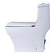 EAGO TB356 DUAL FLUSH ONE PIECE ECO-FRIENDLY HIGH EFFICIENCY LOW FLUSH CERAMIC TOILET