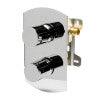 ALFI brand AB3809-PC Polished Chrome Round Knob 1 Way Thermostatic Shower Mixer