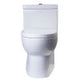 EAGO TB359 DUAL FLUSH ONE PIECE ECO-FRIENDLY HIGH EFFICIENCY LOW FLUSH CERAMIC TOILET