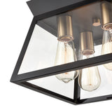 Lucian Ceiling Light
