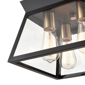 Lucian Ceiling Light