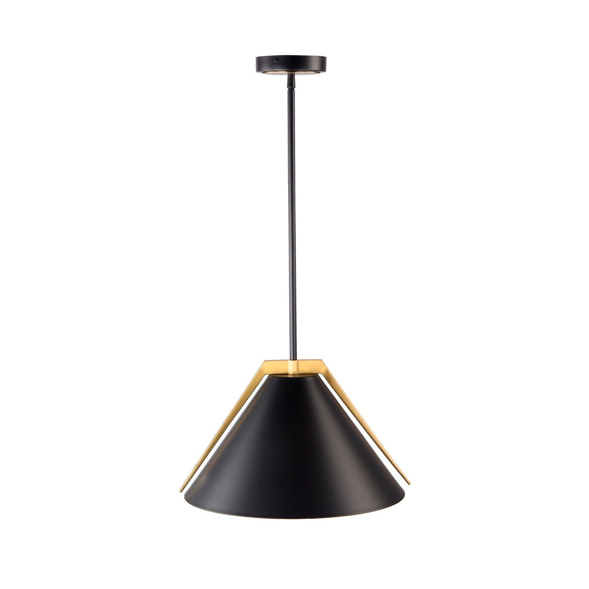 Baltic Pendant