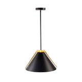 Baltic Pendant
