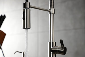 Gourmetier LS8778CTL Continental Single-Handle Pre-Rinse Kitchen Faucet, Brushed Nickel