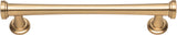 Atlas Homewares Browning Pull 5 1/16 Inch (c-c) Champagne