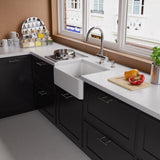 ALFI brand AB2042-PSS Polished Stainless Steel Kitchen Faucet/Drinking Water