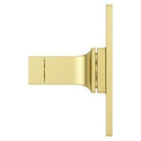 Pfister Brushed Gold Shower Valve Only Trim Without Handles