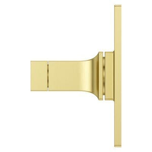 Pfister Brushed Gold Shower Valve Only Trim Without Handles R89-1VRVBG