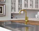 Montay 1-Handle Bar/Prep Kitchen Faucet in Brushed Gold