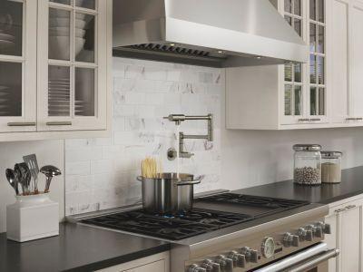 Pfister Stainless Steel Lita Wall Mount Pot Filler GT533-PFS