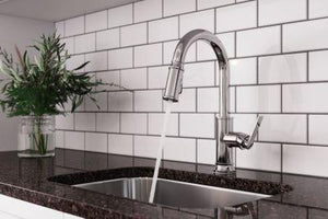Pfister Polished Chrome 1-handle Pull-down Kitchen Faucet GT529-COLC