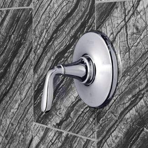 Pfister Polished Chrome Northcott 1-handle Tub & Shower, Trim Only LG89-8MGC