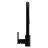 Pfister Matte Black 1-handle Pull-down Kitchen Faucet