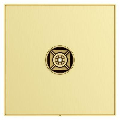 Pfister Brushed Gold Shower Valve Only Trim Without Handles