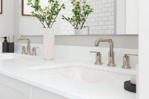 Pfister Polished Nickel 2-handle 8" Widespread Bathroom Faucet LG49-COL0D