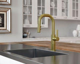 Pfister Brushed Gold 1-handle Pull-down Bar/prep Kitchen Faucet