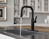 Pfister Matte Black 1-handle Pull-down Kitchen Faucet