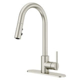 Pfister Stainless Steel 1-handle Pull-down Kitchen Faucet