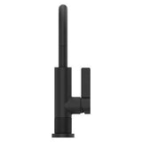 Pfister Matte Black 1-handle Bar & Prep Faucet