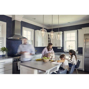 Quoizel TWE1510BN Towne Mini pendant brushed nickel Mini Pendant